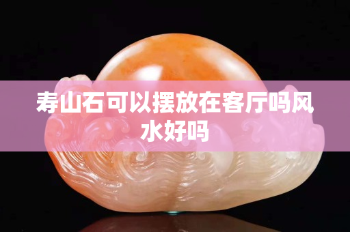 壽山石可以擺放在客廳嗎風水好嗎