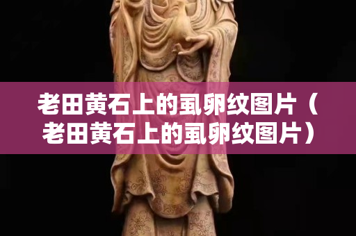 老田黃石上的虱卵紋圖片（老田黃石上的虱卵紋圖片）