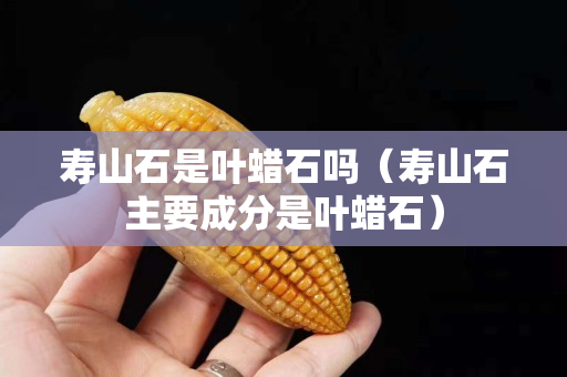 壽山石是葉蠟石嗎（壽山石主要成分是葉蠟石）