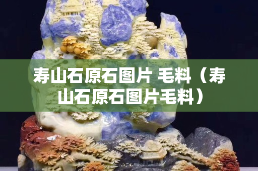 壽山石原石圖片 毛料（壽山石原石圖片毛料）
