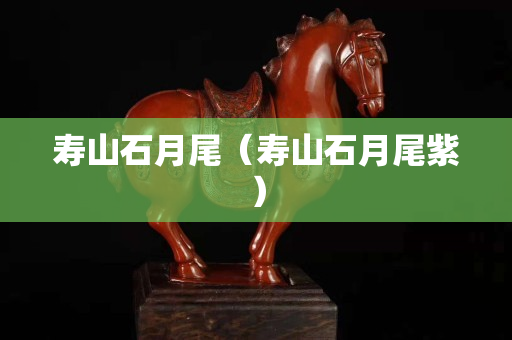 壽山石月尾（壽山石月尾紫）