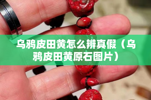 烏鴉皮田黃怎么辨真假（烏鴉皮田黃原石圖片）