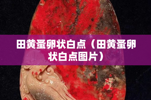田黃蚤卵狀白點（田黃蚤卵狀白點圖片）