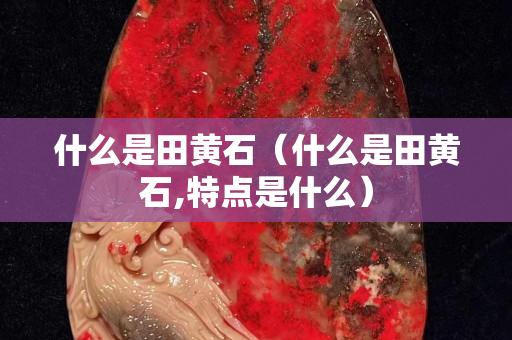 什么是田黃石（什么是田黃石,特點是什么）