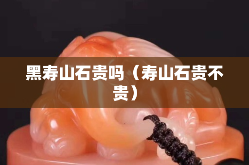 黑壽山石貴嗎（壽山石貴不貴）