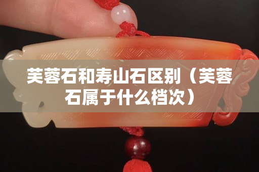 芙蓉石和壽山石區(qū)別（芙蓉石屬于什么檔次）