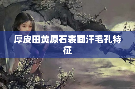 厚皮田黃原石表面汗毛孔特征
