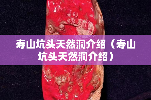壽山坑頭天然洞介紹（壽山坑頭天然洞介紹）