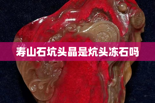 壽山石坑頭晶是炕頭凍石嗎