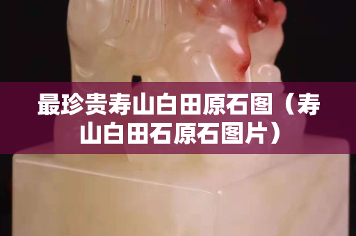 最珍貴壽山白田原石圖（壽山白田石原石圖片）