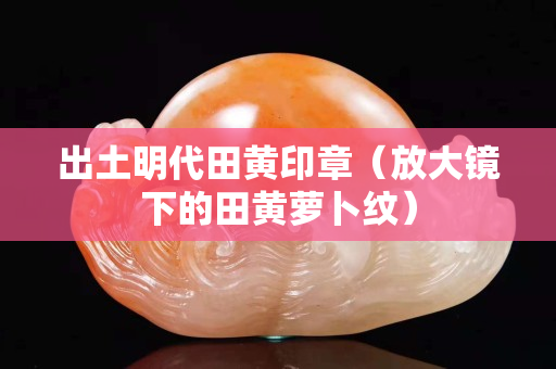 出土明代田黃印章（放大鏡下的田黃蘿卜紋）