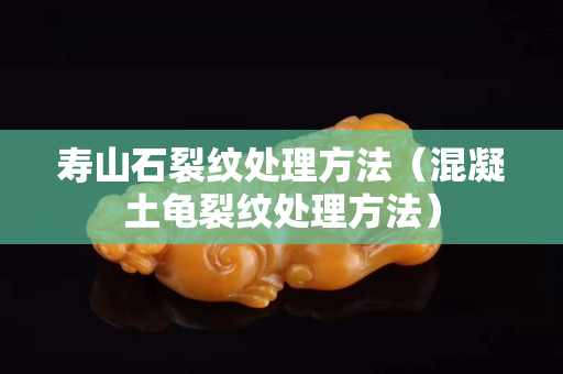 壽山石裂紋處理方法（混凝土龜裂紋處理方法）