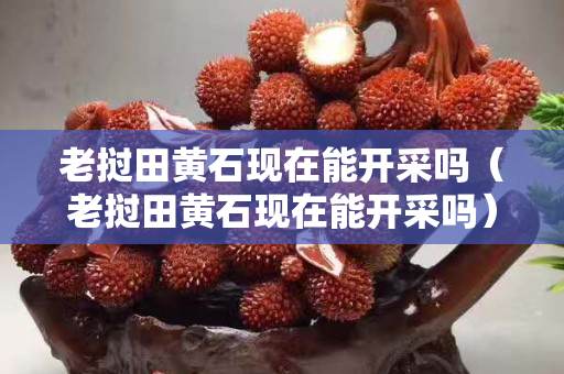 老撾田黃石現在能開采嗎（老撾田黃石現在能開采嗎）
