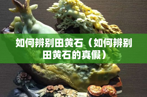 如何辨別田黃石（如何辨別田黃石的真假）