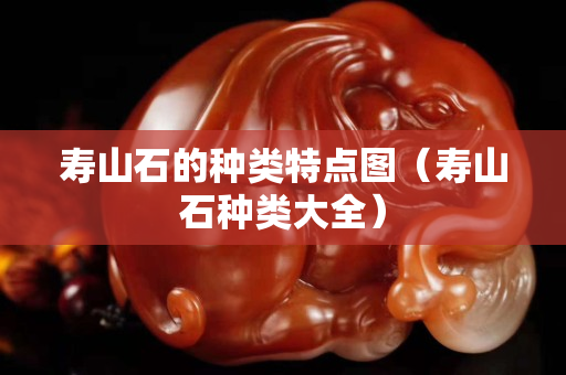 壽山石的種類特點圖（壽山石種類大全）