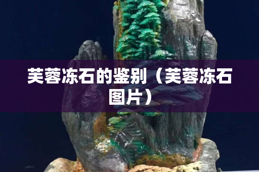 芙蓉凍石的鑒別（芙蓉凍石圖片）