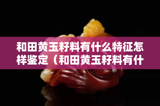 和田黃玉籽料有什么特征怎樣鑒定（和田黃玉籽料有什么特征怎樣鑒定）