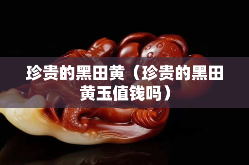 珍貴的黑田黃（珍貴的黑田黃玉值錢嗎）