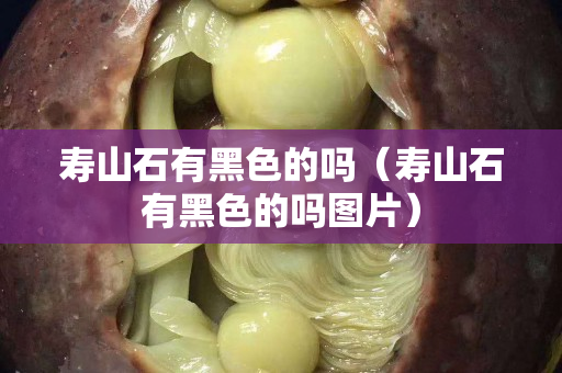 壽山石有黑色的嗎（壽山石有黑色的嗎圖片）