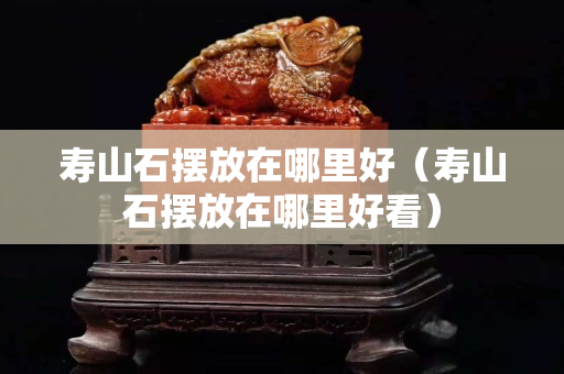 壽山石擺放在哪里好（壽山石擺放在哪里好看）