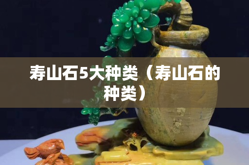 壽山石5大種類（壽山石的種類）
