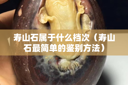 壽山石屬于什么檔次（壽山石最簡單的鑒別方法）