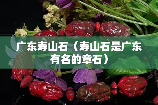 廣東壽山石（壽山石是廣東有名的章石）