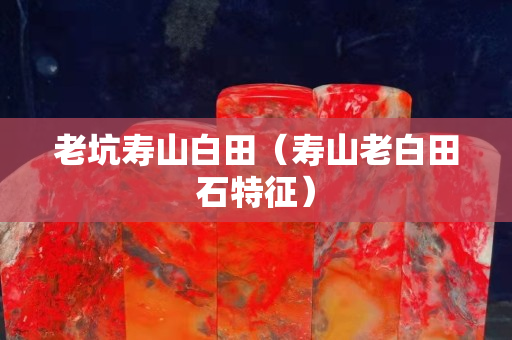 老坑壽山白田（壽山老白田石特征）