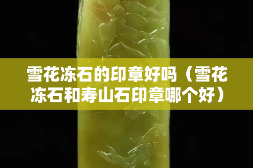 雪花凍石的印章好嗎（雪花凍石和壽山石印章哪個好）