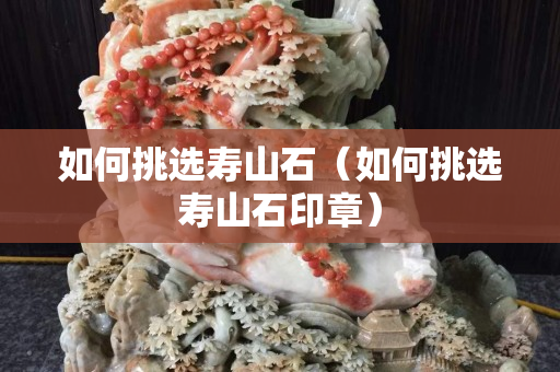 如何挑選壽山石（如何挑選壽山石印章）