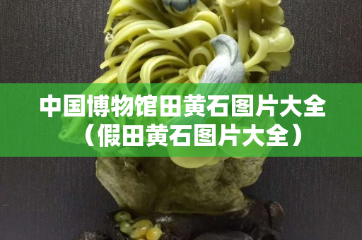 中國博物館田黃石圖片大全（假田黃石圖片大全）