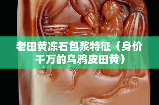 老田黃凍石包漿特征（身價千萬的烏鴉皮田黃）