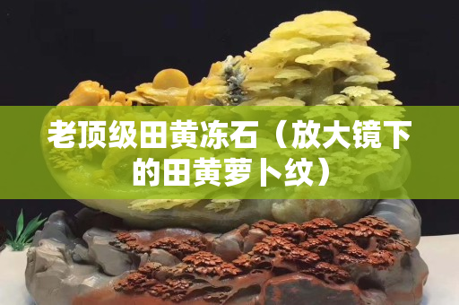 老頂級田黃凍石（放大鏡下的田黃蘿卜紋）