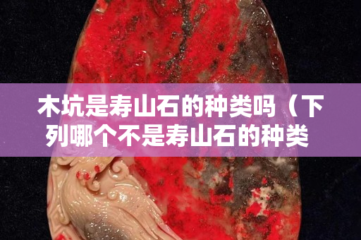 木坑是壽山石的種類嗎（下列哪個不是壽山石的種類 A 山坑）