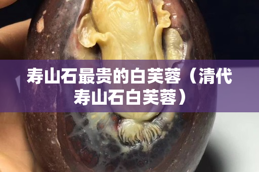 壽山石最貴的白芙蓉（清代壽山石白芙蓉）