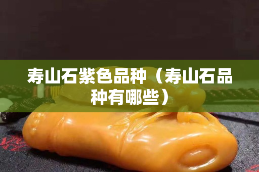 壽山石紫色品種（壽山石品種有哪些）