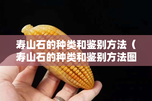 壽山石的種類和鑒別方法（壽山石的種類和鑒別方法圖片）