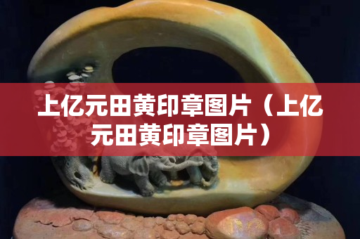 上億元田黃印章圖片（上億元田黃印章圖片）