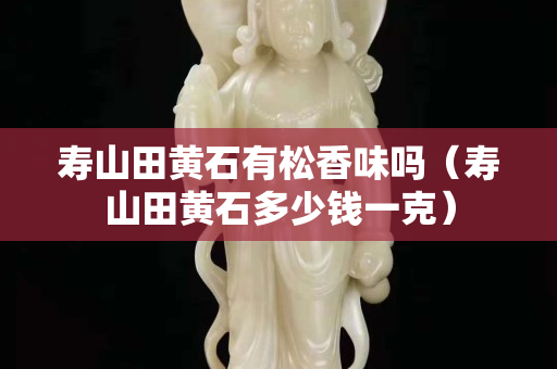 壽山田黃石有松香味嗎（壽山田黃石多少錢一克）