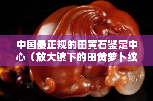 中國(guó)最正規(guī)的田黃石鑒定中心（放大鏡下的田黃蘿卜紋）