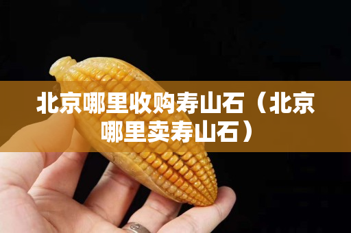 北京哪里收購壽山石（北京哪里賣壽山石）