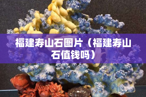 福建壽山石圖片（福建壽山石值錢嗎）