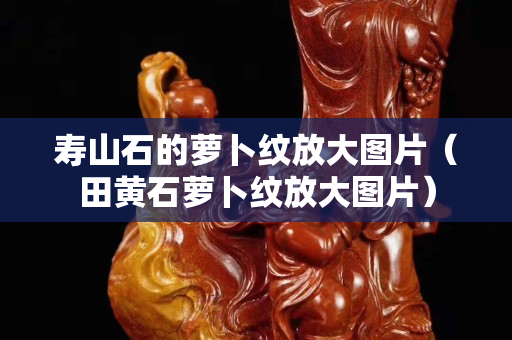 壽山石的蘿卜紋放大圖片（田黃石蘿卜紋放大圖片）