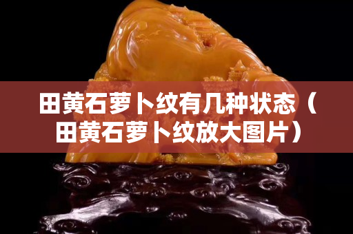 田黃石蘿卜紋有幾種狀態(tài)（田黃石蘿卜紋放大圖片）