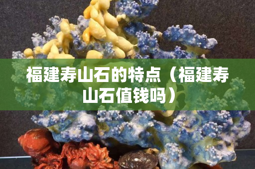 福建壽山石的特點（福建壽山石值錢嗎）