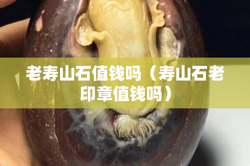 老壽山石值錢嗎（壽山石老印章值錢嗎）
