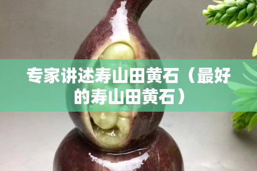 專家講述壽山田黃石（最好的壽山田黃石）