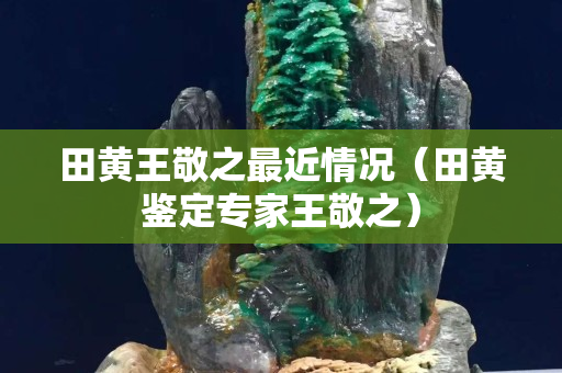 田黃王敬之最近情況（田黃鑒定專(zhuān)家王敬之）