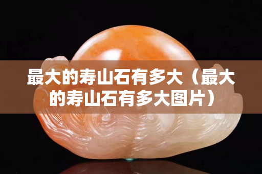 最大的壽山石有多大（最大的壽山石有多大圖片）