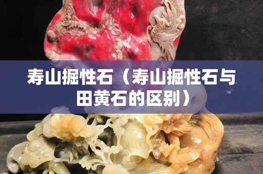 壽山掘性石（壽山掘性石與田黃石的區別）